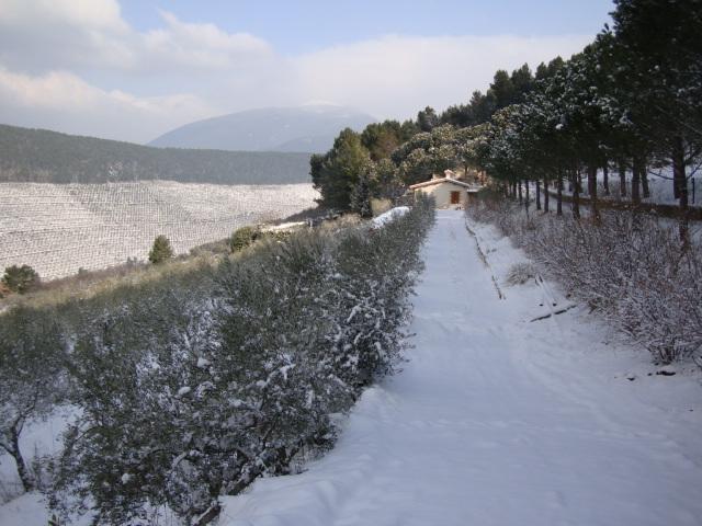 Agriturismo Istrice Innamorato Кампелло-суль-Клитунно Экстерьер фото